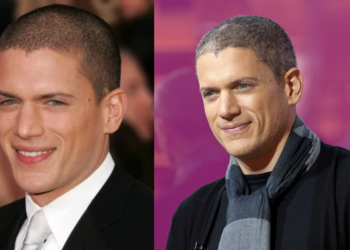 Wentworth Miller Net Worth – What the Actor Earned Beyond Hollywood Spotlight